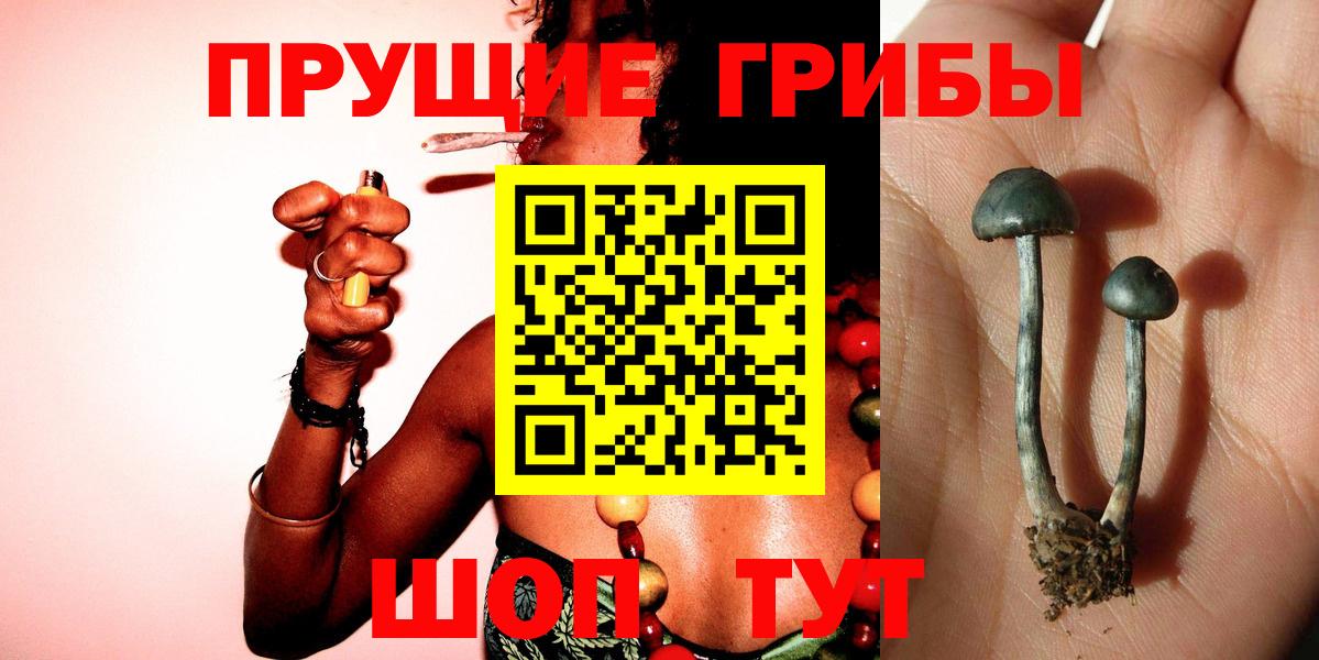 Аша  Псилоцибиновые грибы Psilocybe  Вход с VPN  Галлюциногенные грибы GOLDEN TEACHER 